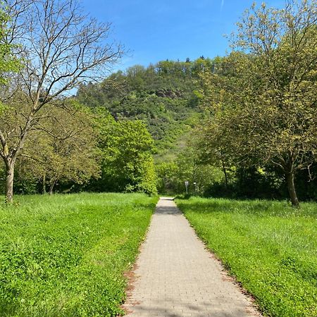 Ferienwohnung An Der Saar コンツ エクステリア 写真